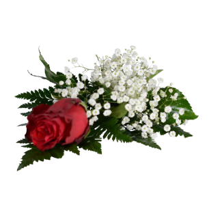 Röd ros och vita brudslöjor arrangerade med gröna blad.